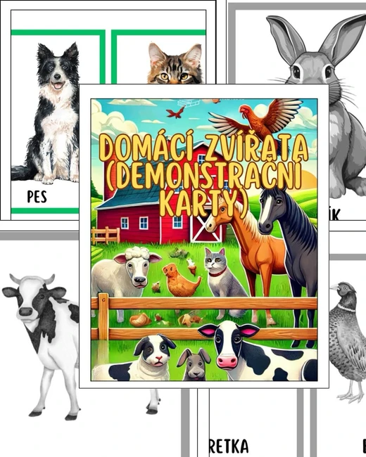 Domácí zvířata (demonstrační karty)