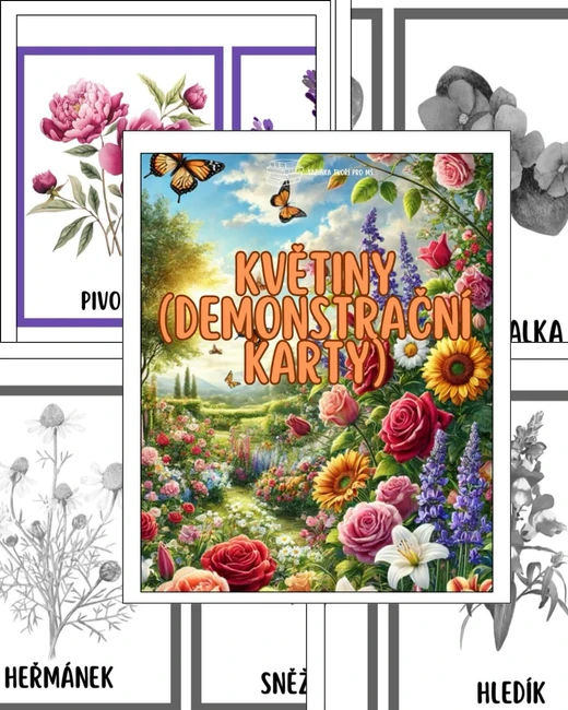 Květiny (demonstrační karty)