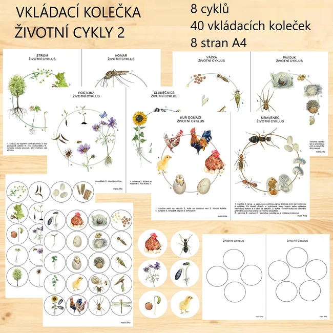 vkládací kolečka ŽIVOTNÍ CYKLY 2
