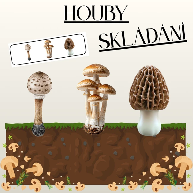 Houby - skládání dle předlohy