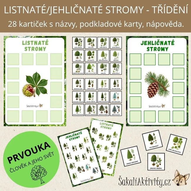  LISTNATÉ A JEHLIČNATÉ STROMY - TŘÍDĚNÍ 
