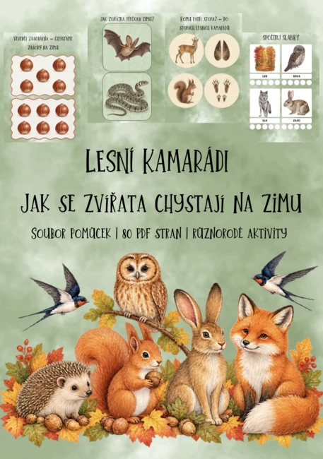 🍂 LESNÍ KAMARÁDI – Jak se zvířata chystají na zimu 🦔