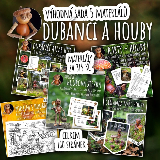 Dubánci a houby - výhodná podzimní sada 5 materiálů o houbách