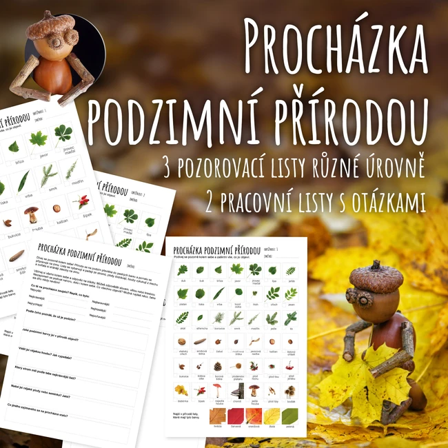Procházka podzimní přírodou - podzimní hledačka