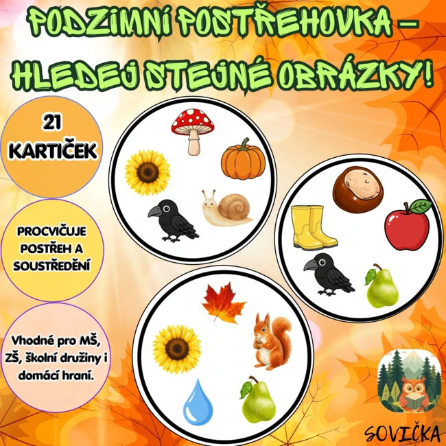 🍁 PODZIMNÍ POSTŘEHOVKA – HLEDEJ STEJNÉ OBRÁZKY! 🔎🍄