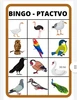 Soubor aktivit  PTÁČCI