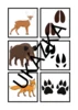🐾🔎 STOPY 🔎🐾
