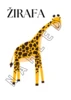 Zvířata v ZOO