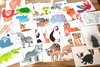 Zvířátka v Zoo