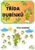 Třída Dubínků