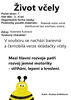 Život včely