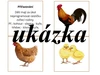 Bee bot - Zvířata na statku  – ukázka 3
