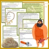 JAK TO CHODÍ V PRAVĚKU – STARŠÍ DOBA KAMENNÁ, LOVCI, MAMUTI a další/ ranní volné hry, řízené činnosti – ukázka 2