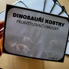  PROSVĚTLOVACÍ OBRÁZKY - DINOSAUŘÍ KOSTRY 