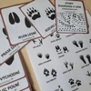  Stopy lesních živočichů - demonstrační karty 