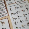  Lesní živočichové a jejich stopy - demonstrační karty 