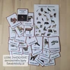  Lesní živočichové - demonstrační karty 