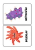 NEMOCÍ A JEJICH BACILY 💉🦠