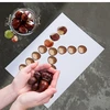Hrajeme si s kaštany - šablony - PODZIM – ukázka 2