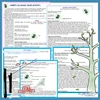 PROČ DRAK KOULÍ OČIMA – ranní volné hry, řízené činnosti/ PODZIMNÍ DRACI