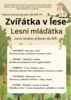 Zvířátka v lese - les: mláďata (jaro) – ukázka 3