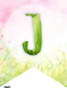 GIRLANDA JARO - VÝZDOBA – ukázka 4