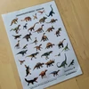  Dinosauři - demonstrační karty  – ukázka 4