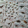  Dinosauři - demonstrační karty  – ukázka 5