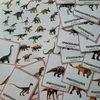  Dinosauři - demonstrační karty  – ukázka 7