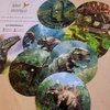  DINOSAUŘI - otočné skládačky  – ukázka 3