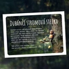 Dubánčí stromová stezka