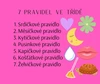Stezka/Plotovka Pravidla + pravidla k vytištění do třídy