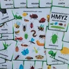  HMYZ - kreslený - demonstrační karty 