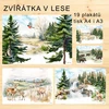 ZVÍŘÁTKA V LESE - PLAKÁTY