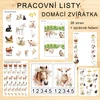 PRACOVNÍ LISTY - DOMÁCÍ ZVÍŘÁTKA