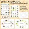 Slova nadřazená a podřazená