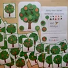  PODZIMNÍ LISTY - přiřazovací aktivita 