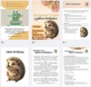 Podzim - ježek Bodlinka (přípravy, sada aktivit)