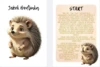 Podzim- stezka/plotovka - ježek Bodlinka