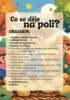 PODZIM: Sklízíme, aneb co se děje na poli?