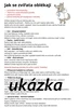 Jak se zvířata oblékají? 🐻🐈‍⬛