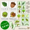  Puzzle - DEN STROMŮ - stromy, listy, plody, šišky  – ukázka 2