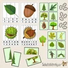  Puzzle - DEN STROMŮ - stromy, listy, plody, šišky  – ukázka 3