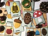 Autumn English Words - pexeso, kartičky, bingo – ukázka 4