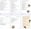 Podzim pod lupou – podzim, příroda, přípravy se skřítky – ukázka 4