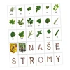 Naše stromy a jejich listy - girlanda