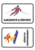 Zimní sporty