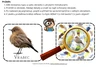 PTAČÍ pátračka s lupou 🔎– hledej, objevuj a přiřazuj