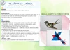KDYŽ PŘILETÍ VLAŠTOVKY – VLAŠTOVKY A JARO – ukázka 2