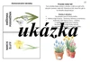 Jaro  – ukázka 3